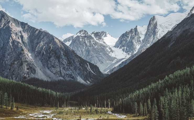 2026世界杯票价全览：购票指南与价格解析
